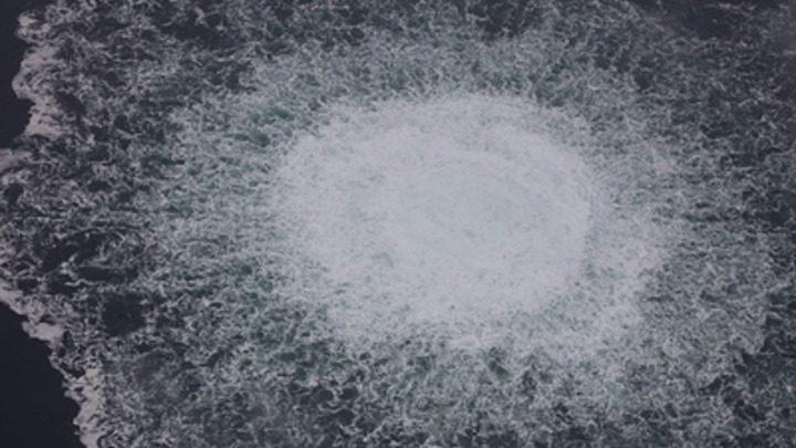 Всё, Германия сдалась: В теракте на Северных потоках уличили украинца