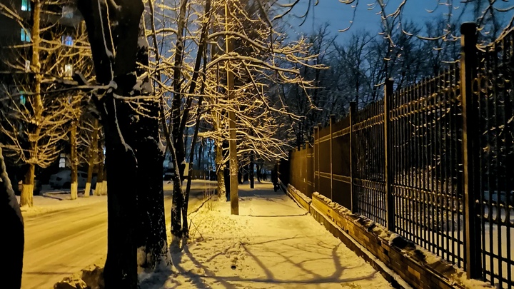 Климатолог спрогнозировал суровую зиму в Ростове в этом году