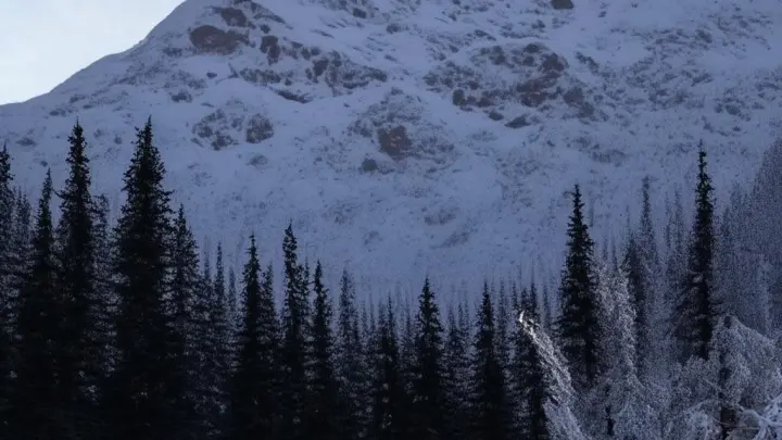 Загадка семьи Усольцевых: Блогер предсказала свою судьбу картами и песней