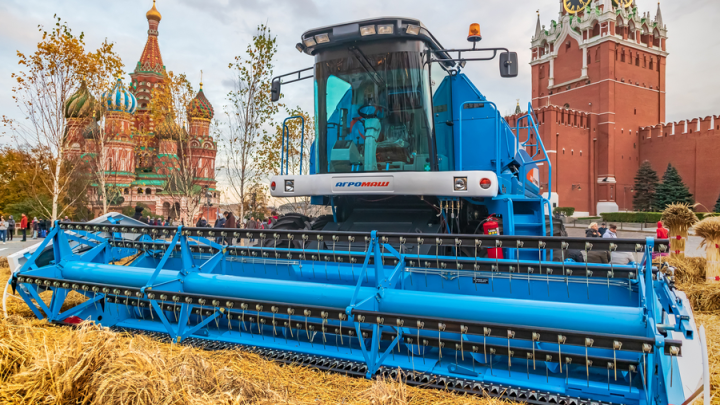 Мука резко подорожает. Аграрии в России перестанут возделывать на своих полях пшеницу и рожь