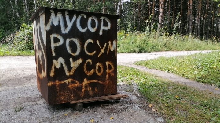 В Новосибирске прокуратура нашла нарушения в работе мусорного оператора