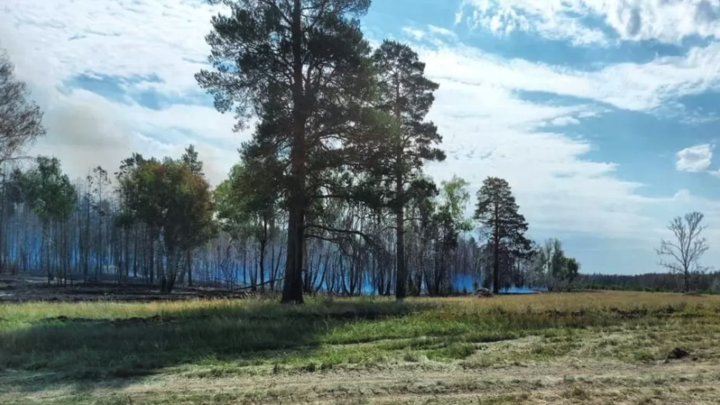Пожар продолжается: в Челябинской области за сутки огонь уничтожил 550 гектаров леса