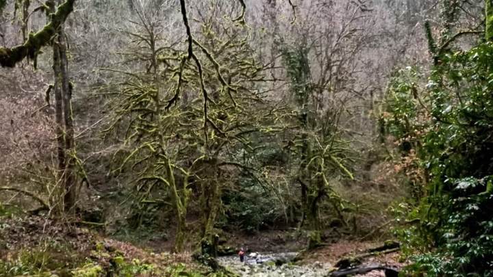 В Сочи третьи сутки ищут пропавшего во время похода туриста