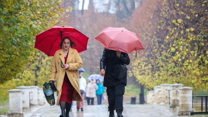 В России значительно больше женщин, чем мужчин. Но пугает не это: Тревожные цифры привёл демограф
