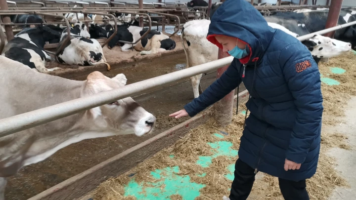 Это безумие: Делягин заподозрил заговор олигархов. В Сибири убивают не только скот