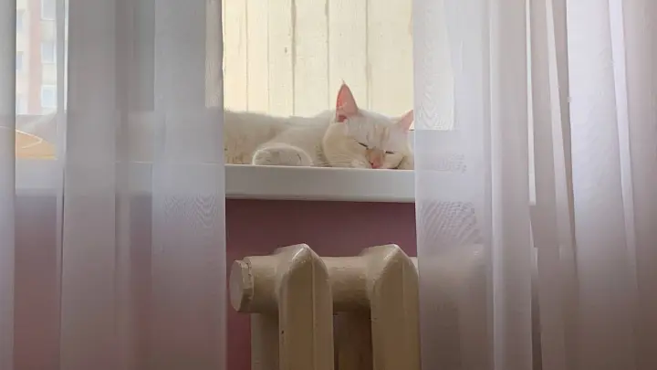 Что делать, если счёт за отопление пришел летом. Куда обращаться