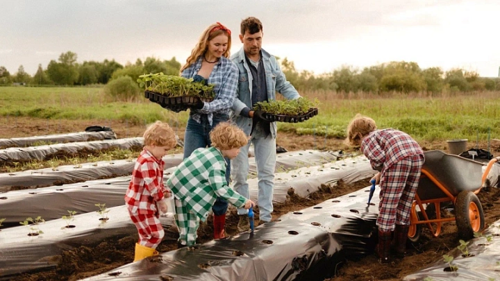 При госсподдержке многодетная семья в Поморье развернула ягодные плантации