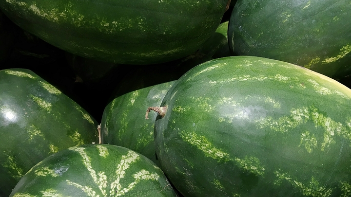 Убил полсемьи: В Москве завели уголовное дело после гибели бабушки и внучки от арбуза