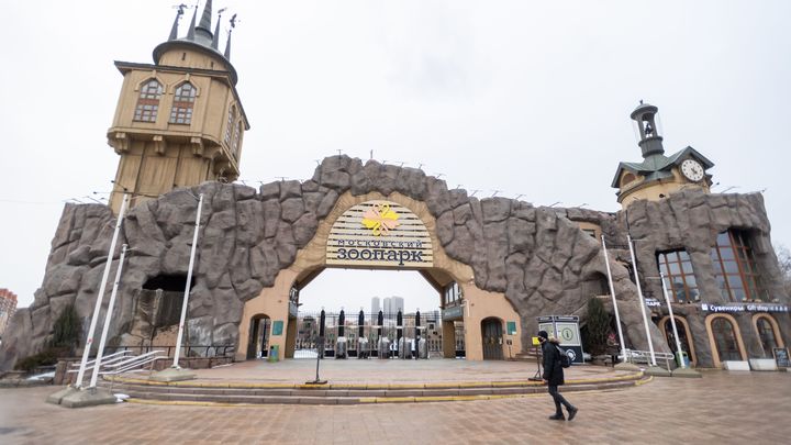 Из-за рекордных дождей в столице закрылся Московский зоопарк