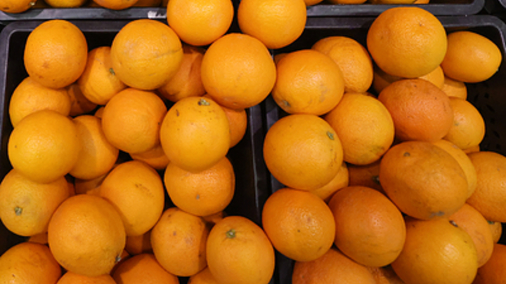 Из-за плодовой мухи в порту Новороссийска запретили ввоз апельсинов из Египта