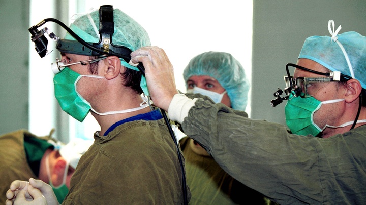 Дворняжка из станицы Пластуновской первой в мире получила бионические протезы на все четыре лапы