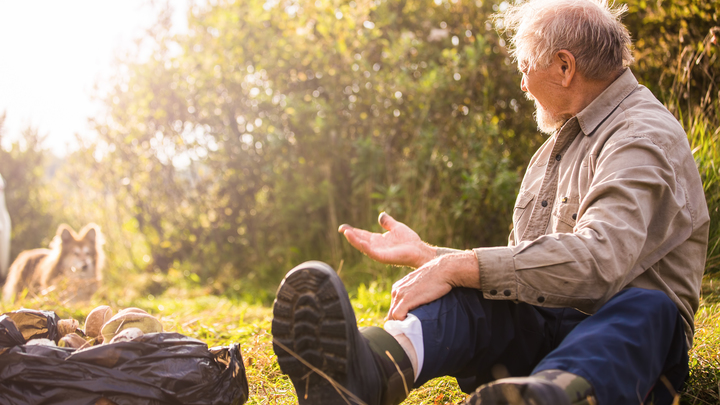На пенсии жители Краснодара хотят заниматься спортом, изучением языков и музыкой