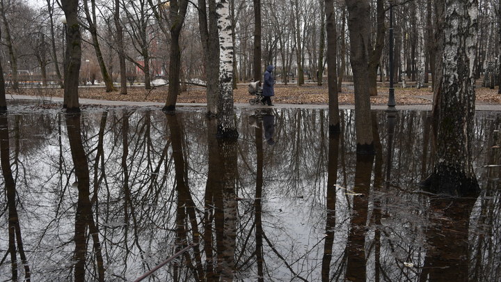 Как маленький ребёнок в коляске оказался один в лесополосе в Нижнем Новгороде проверит прокуратура