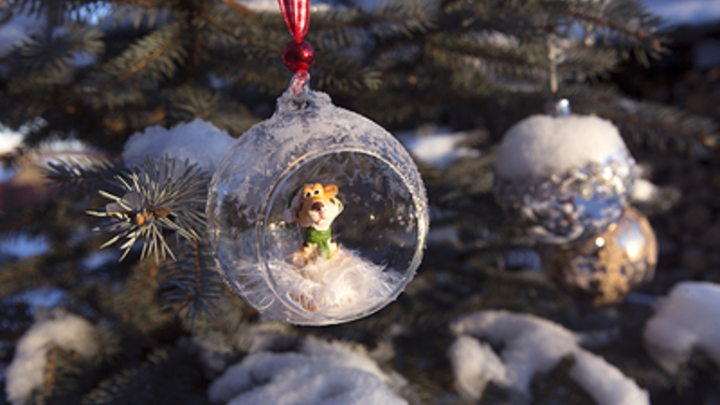 Власти Подмосковья предложили встретить Новый год культурно