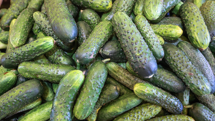 Названы продукты с отрицательной и нулевой калорийностью