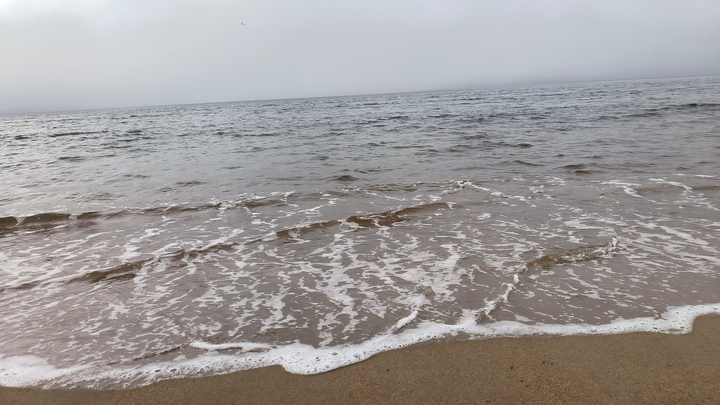 Загадочный цилиндр с пляжа Австралии экстренно спрятали