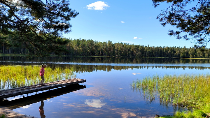 Погода в Архангельске 16 сентября 2023 года