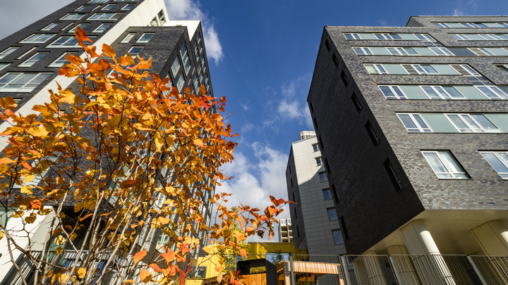 В Екатеринбурге вдвое выросло число выставленных на продажу дорогих квартир