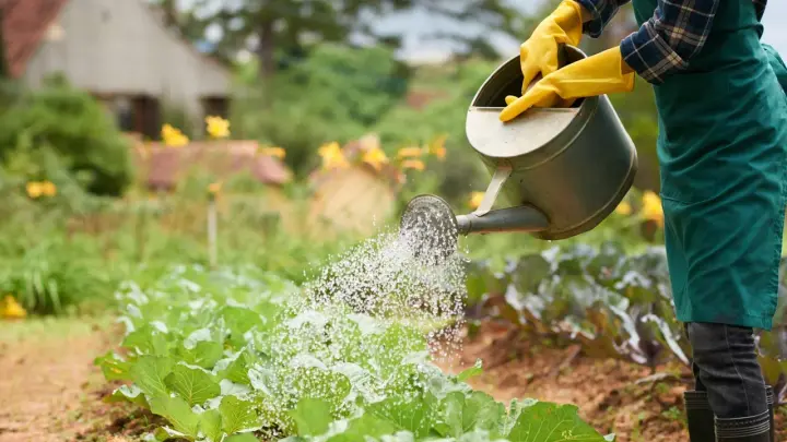 Всё изменится 1 сентября. Дачников могут лишить участка за простую невнимательность. И не только их