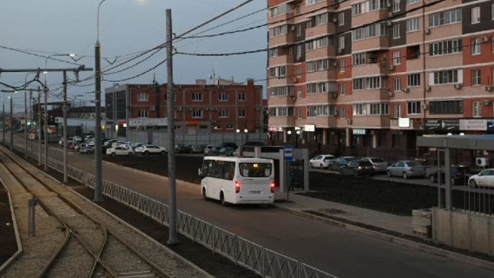 В Краснодаре вдоль новой трамвайной линии высадят деревья и кустарники