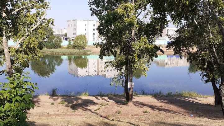 Светлоярское озеро в Нижнем Новгороде чистит машина-амфибия