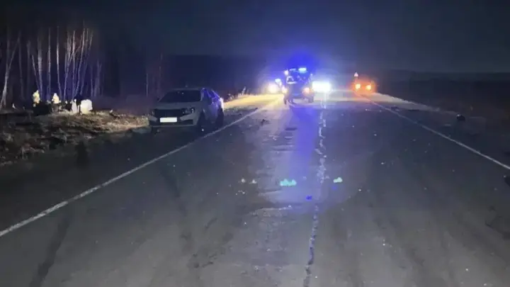 В Красноярском крае три молодых человека погибли в ДТП с лошадью