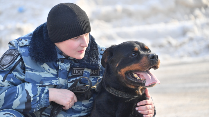 В Екатеринбурге ночью силовики нагрянули в бар