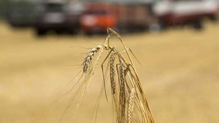 Россия передала Запорожской области партию зерноуборочной техники