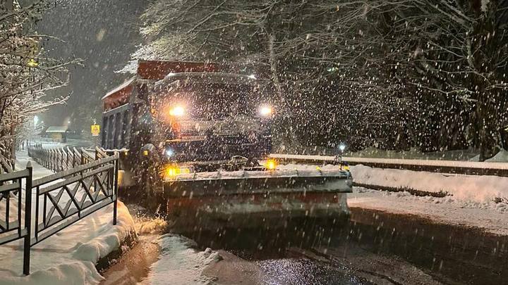 В Сочи упавшее на дорогу дерево перекрыло проезд по ул. Победы