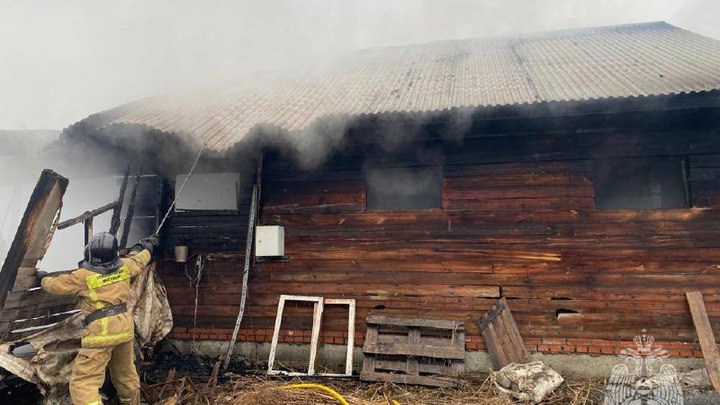 Сотрудники МЧС спасли лошадь из пожара в Новосибирском районе