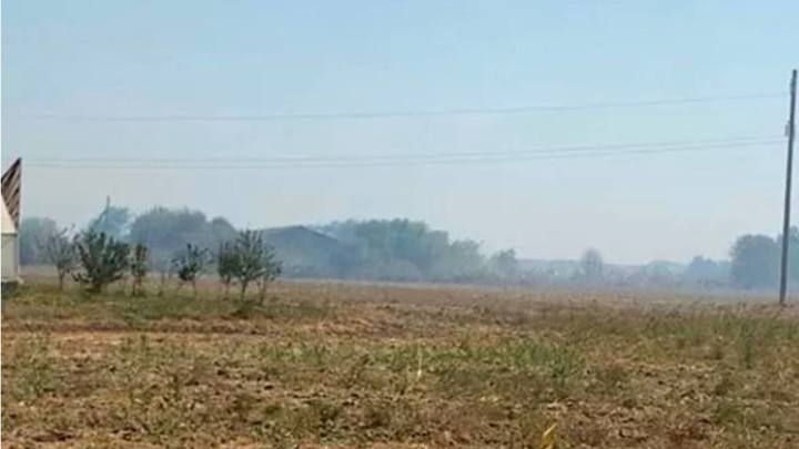 Рисовую солому сжигают на полях Кубани и Адыгеи
