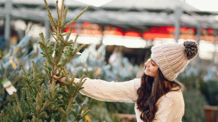 Ёлочные базары Новосибирска завершают сезон: каковы остатки и что будет с непроданными деревьями