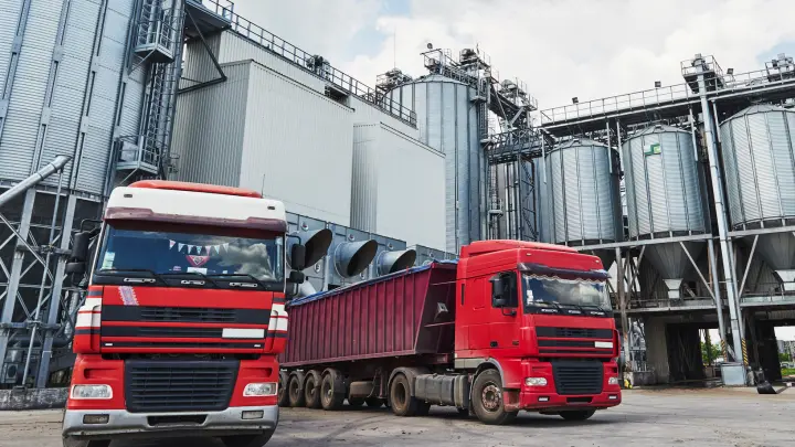 Этот фрукт из Ирана не пустили в Челябинскую область