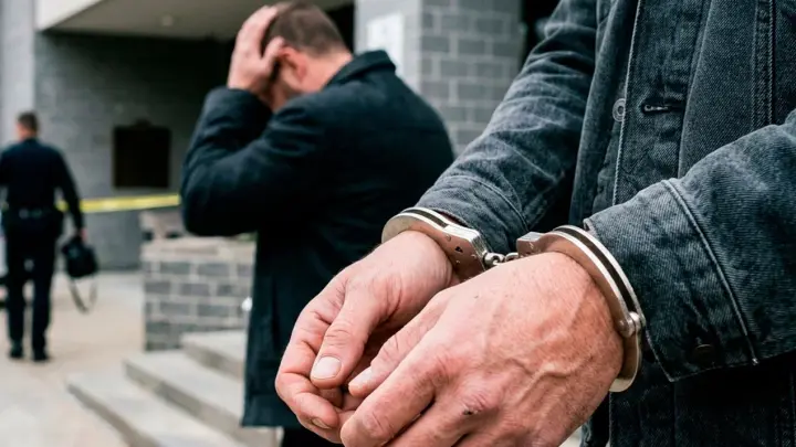 Миллиарды украдены на дронах. И годами никто ничего не знал: Цыганова предложила решение из прошлого