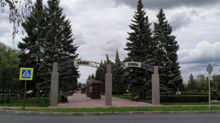 В Тольятти повесят фото лучших из людей