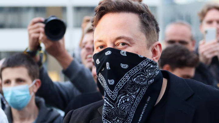 Маск отрицает переговоры с Путиным перед своей публикацией