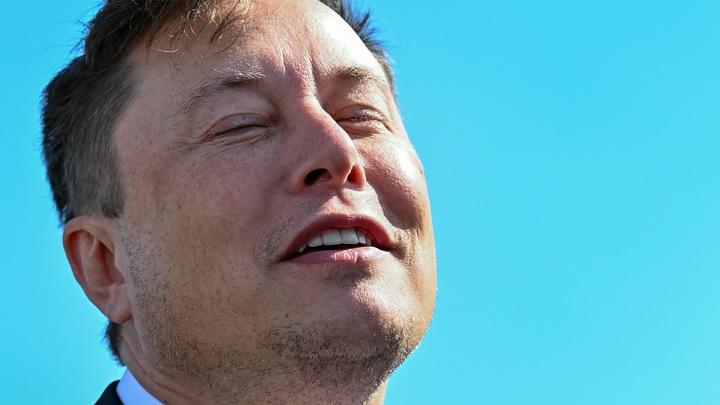 Прапор вряд ли останется в живых: Илон Маск сделал скандальное заявление, пинвины дополнили