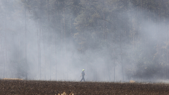 Глава Запорожской ВГА обвинил ВСУ в уничтожении посевов