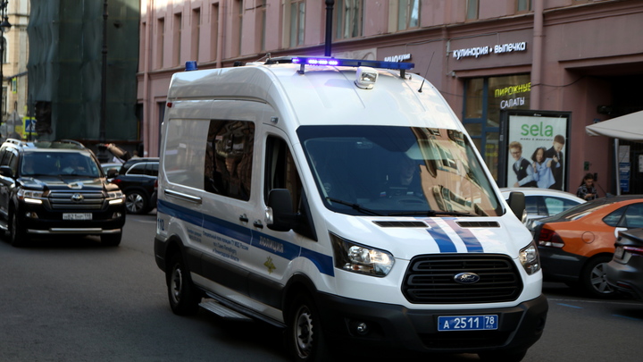 Приехали учиться: полиция нашла мигрантов, которые с ножами и топором ограбили петербурженку