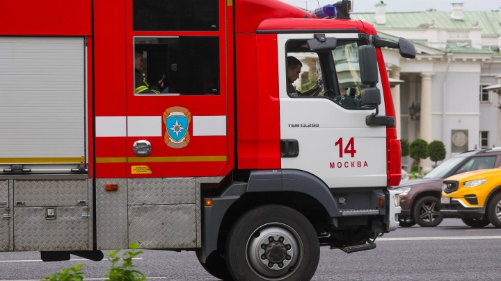 Установлена причина гибели двух человек на пожаре в Подмосковье