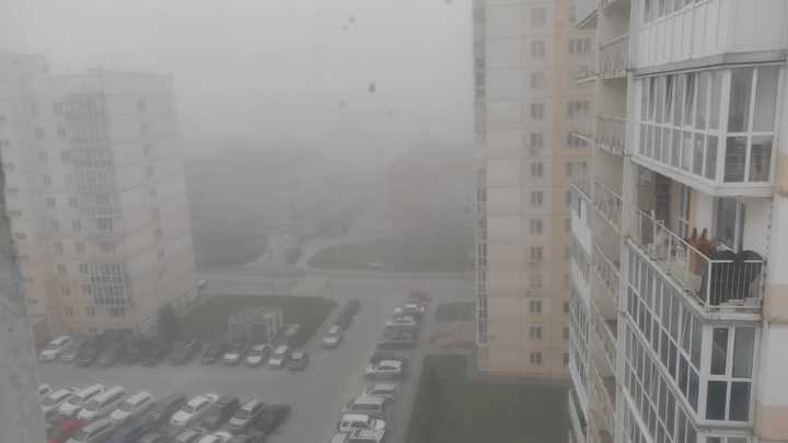 Фото: Царьград Новосибирск