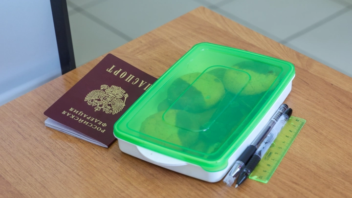 Вступил в силу закон о новых основаниях для лишения гражданства России