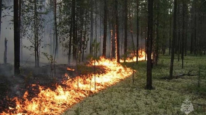 Предупреждение по высокой пожароопасности продлили на Кубани