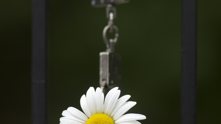 Мать челябинского маньяка обвинила жертву своего сына Катю: Жила как королева