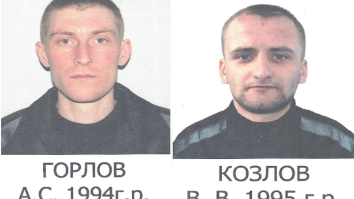 Бежавшие из новосибирской колонии зэки совершили серию краж