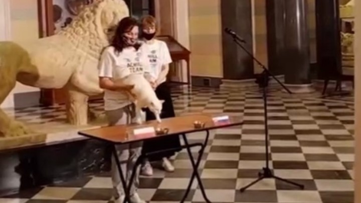 В Петербурге кот-предсказатель выбрал будущего победителя в матче между сборными Польши и Словакии