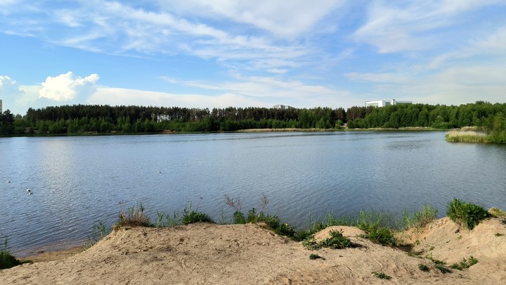 Приезжий домогался до девочки на пляже в Балашихе