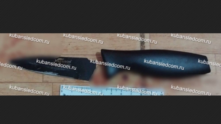 Житель Темрюкского района, пытавшийся зарезать спящего ребёнка, предстанет перед судом