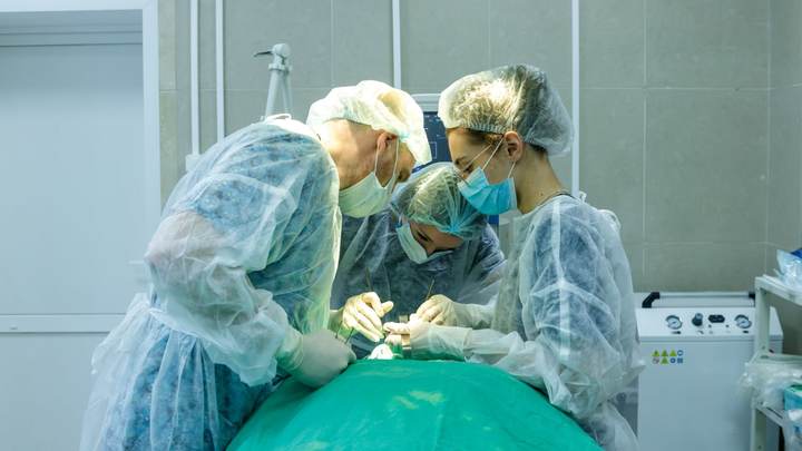 В Люберцах из щеки женщины вытащили 12-сантиметрового паразита