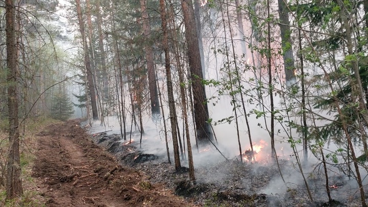 355 человек оштрафованы за нарушение пожарной безопасности в Новосибирской области